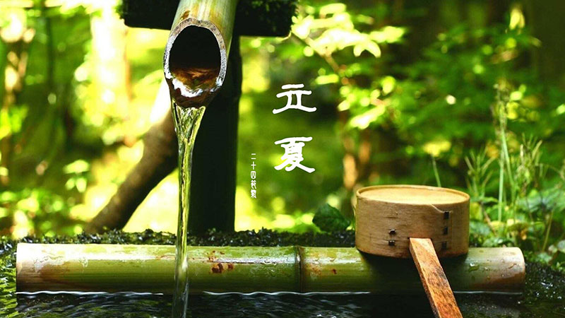 立夏|春意藏，夏初長