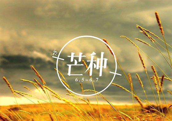 芒種丨你在歲月奔忙的模樣，值得被大地犒賞