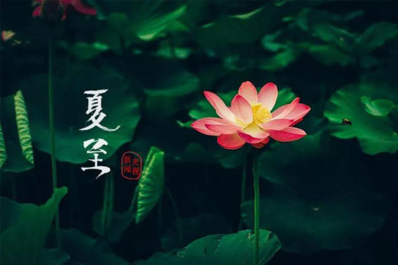 夏至|愿所有期許，如約而至