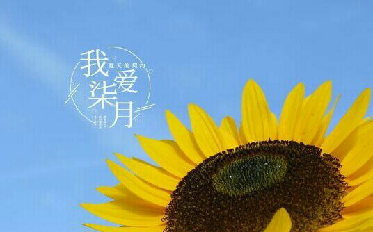 流光已過(guò)，再見(jiàn)七月