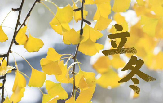 立冬?別了晚秋，遇見初冬